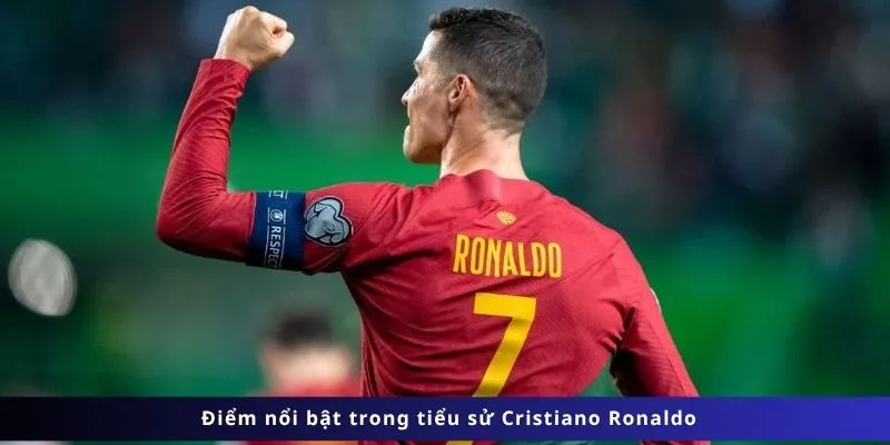 Các điểm nổi bật